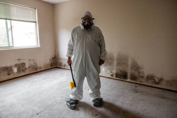 Thomasville, AL Mold Removal Company